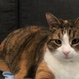 Meet your Posher, Ali